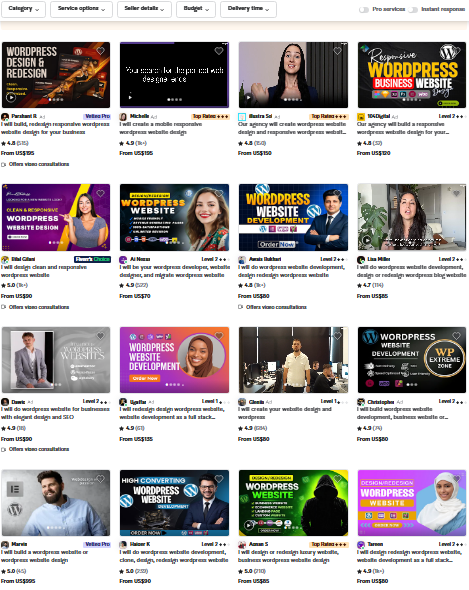 Affordable WordPress website design